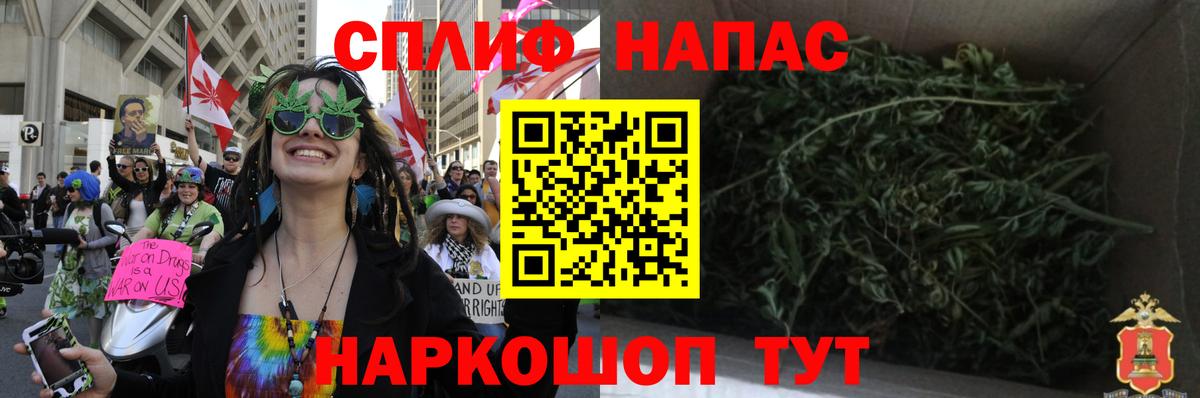 Конопля гибрид Железноводск